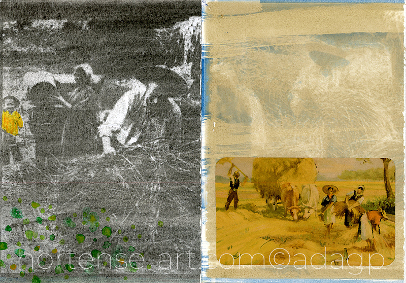 gomme bichromatée, cyanotype & aquarelle -photographie - art contemporain - copyright Adagp Paris